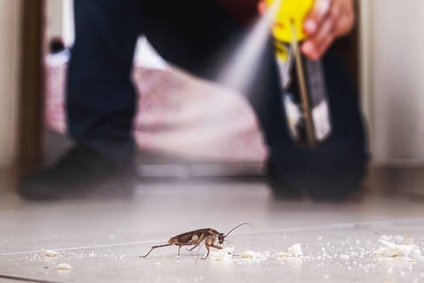 Professional Pest Control in Athens, OH